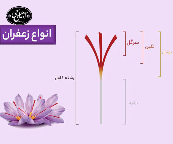معرفی انواع زعفران