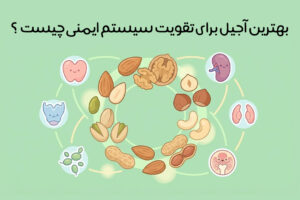 بهترین-آجیل-برای-تقویت-سیستم-ایمنی-معرفی-8-آجیل-مغذی-بهترین-زمان-مصرف
