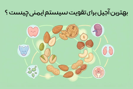 بهترین آجیل برای تقویت سیستم ایمنی: 8 آجیل طلایی + زمان مصرف