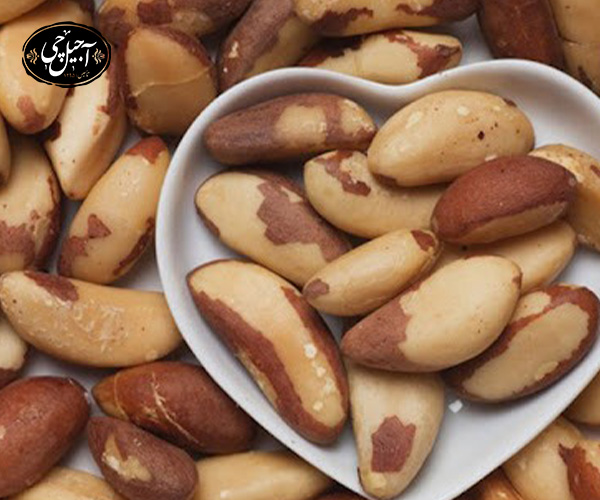 6. آجیل برزیلی از بهترین آجیل برای تقویت سیستم ایمنی