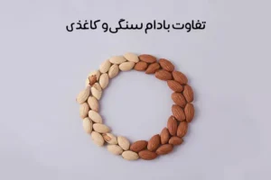 تفاوت بادام سنگی و کاغذی: مقایسه + بادام سنگی بهتره یا کاغذی