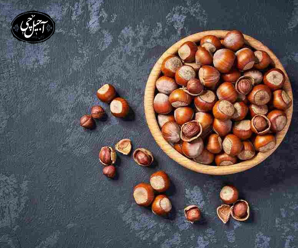 فندق برای چه کسانی مضر است؟