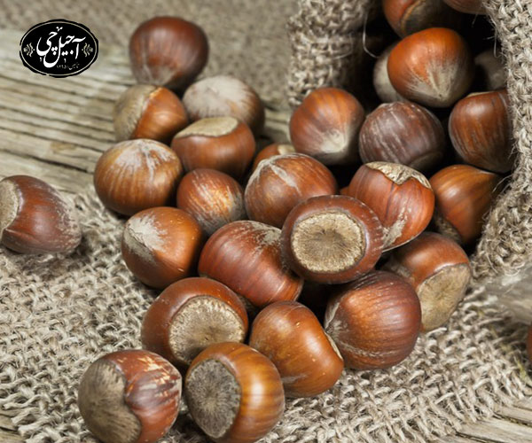 نکات مهم در مصرف فندق برای زنان