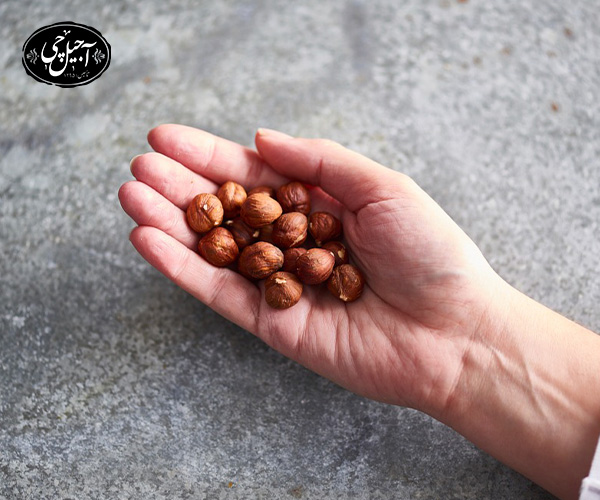 خواص و مضرات فندق در طب سنتی