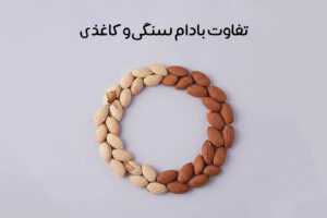 تفاوت بادام سنگی و کاغذی