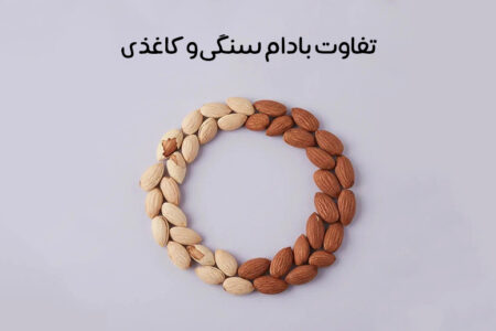 تفاوت بادام سنگی و کاغذی: مقایسه + بادام سنگی بهتره یا کاغذی