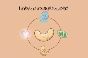 21 خواص بادام هندی در بارداری: فواید و مضرات + مقدار مصرف
