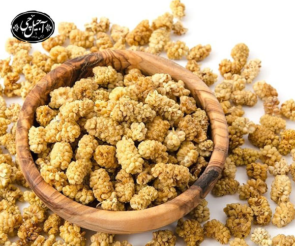 پرسش‌های رایج در مورد شیوه‌های خشک‌سازی توت سفید