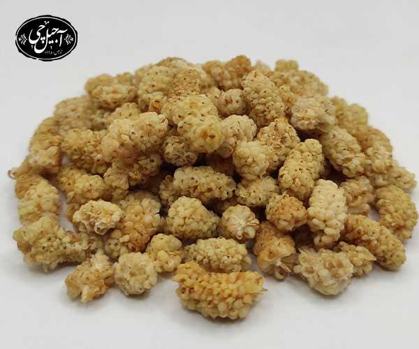 فواید سلامتی توت خشک