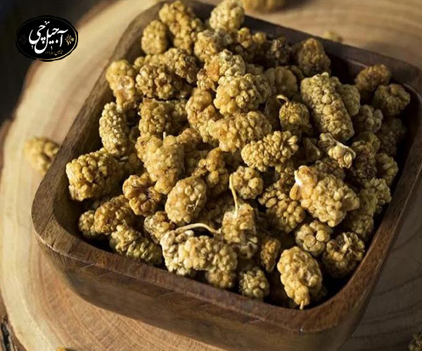 راهکارهای نگهداری توت خشک در خانه