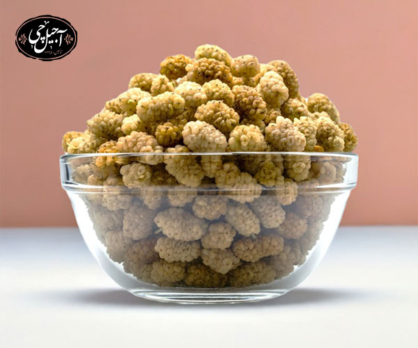 ۲. استفاده از دستگاه میوه‌خشک‌کن برای خشک‌سازی توت سفید