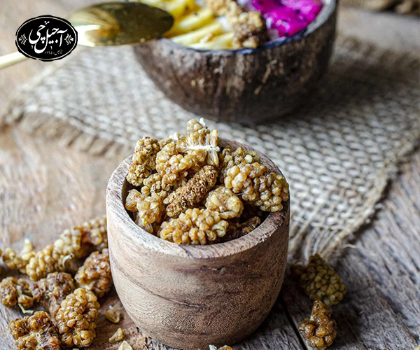  روش خشک‌سازی توت سفید با استفاده از مایکروفر و توستر