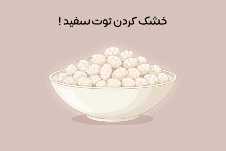 روش خشک کردن توت سفید: 7 روش خشک کردن بدون سیاه شدن + ترفندها