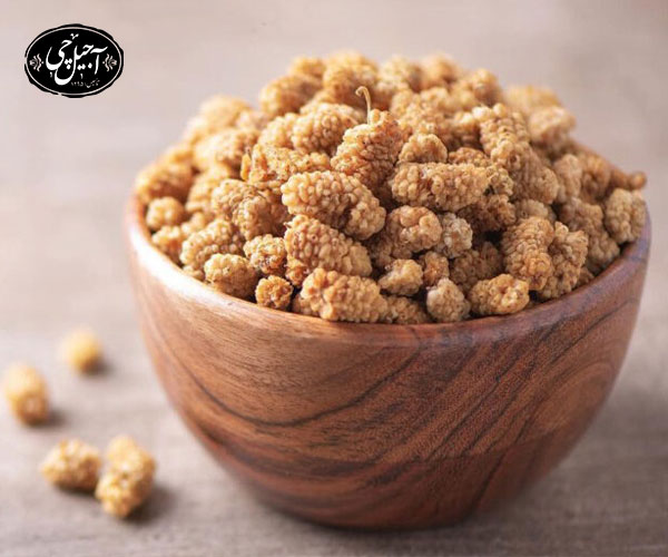 استفاده از دستگاه هواپز برای خشک‌ کردن توت سفید