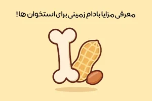 خواص بادام زمینی برای استخوان: تاثیر طلایی بر استحکام و کاهش پوکی استخوان