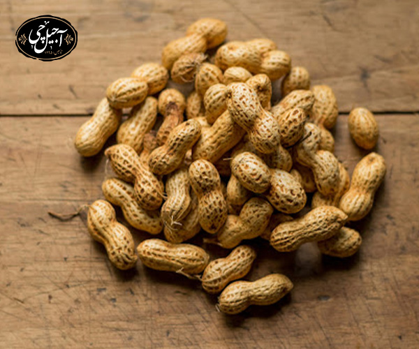 آلرژی به بادام زمینی: آیا بادام زمینی برای بچه ها حساسیت‌زا است؟