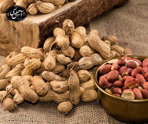 11. ارتباط لاغری کودک و بادام زمینی