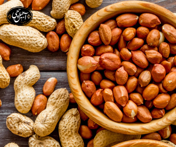 نکات مهم مصرف بادام زمینی برای کودکان