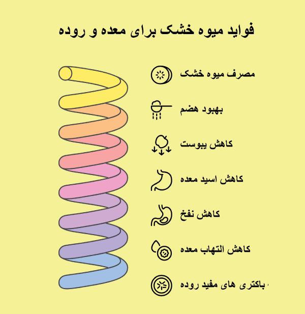 خواص میوه خشک برای معده و روده