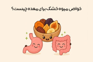 خواص میوه خشک برای معده و روده و بهترین میوه خشک‌ها برای سلامت معده