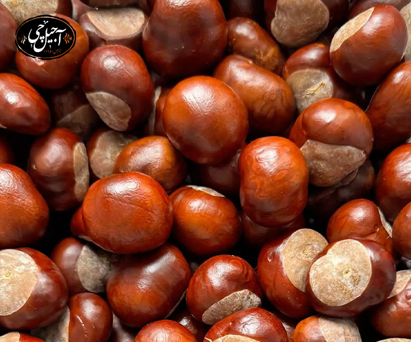 شاه بلوط برای پوست و مو مفید است