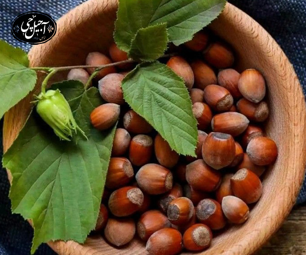 فواید فندق برزیلی برای پوست و مو