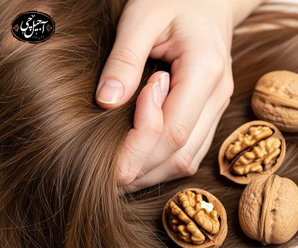 تأثیر آجیل بر سلامت مو