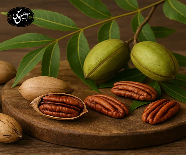 گردوی آمریکایی چه کمکی به تقویت مو و پوست میکند؟