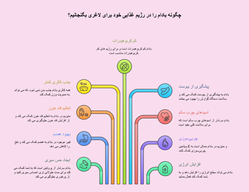 بادام درختی چه کمکی به کاهش وزن میکند؟