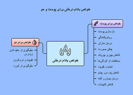 از خواص بادام درختی برای پوست و مو