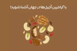 گرانترین مغزهای جهان: 10 آجیل‌ گران دنیا کدامند! + عکس