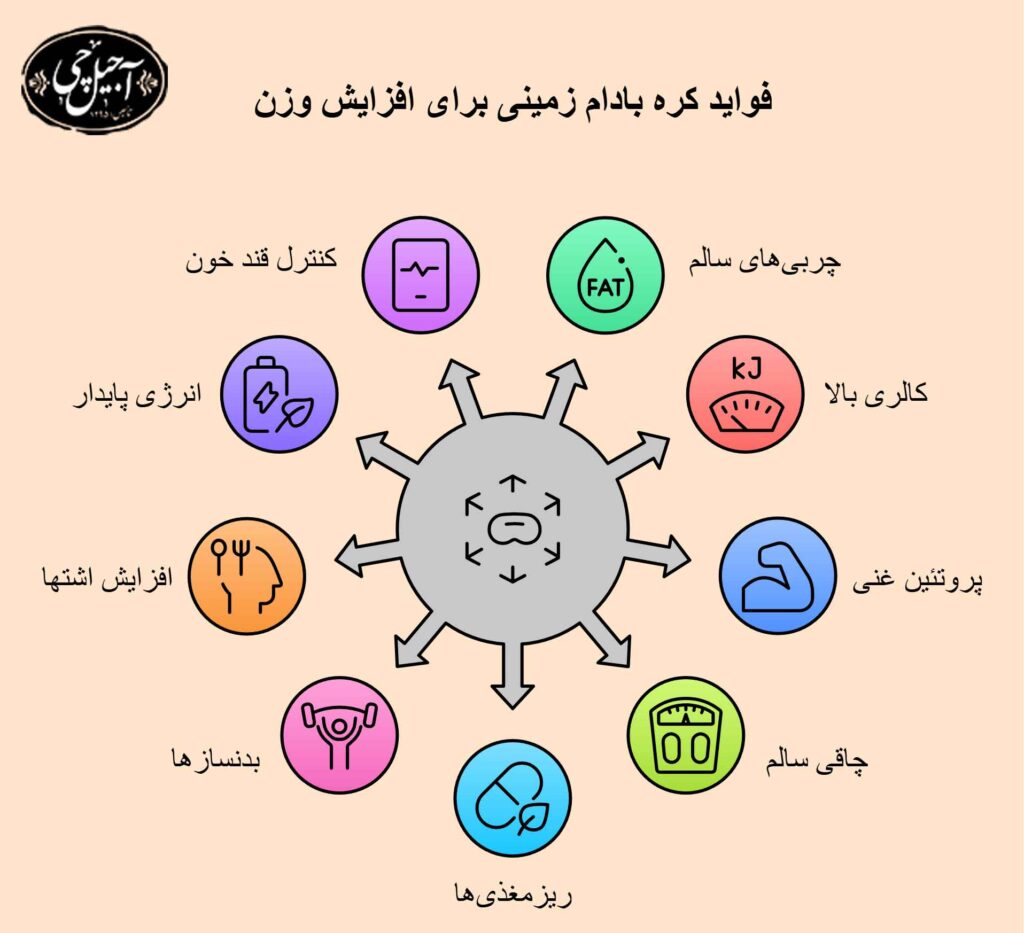 فواید کره بادام زمینی برای افزایش وزن