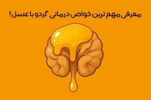 خواص گردو با عسل: 20 خاصیت جادویی گردو و عسل + طرز تهیه و نحوه مصرف