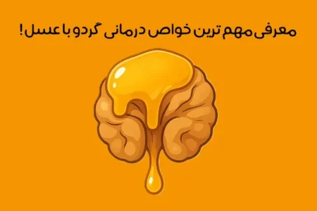 خواص گردو با عسل: 20 خاصیت جادویی گردو و عسل + طرز تهیه و نحوه مصرف