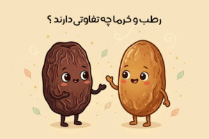 تفاوت خرما و رطب از نظر خواص، طعم و ارزش غذایی