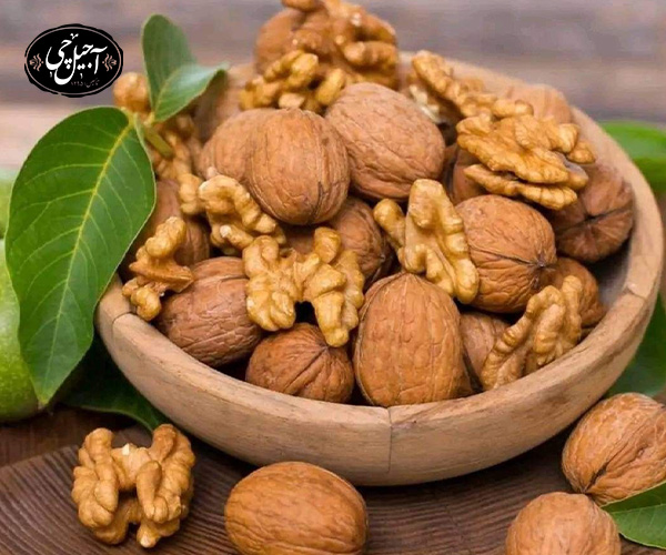 مقایسه جنس پوسته