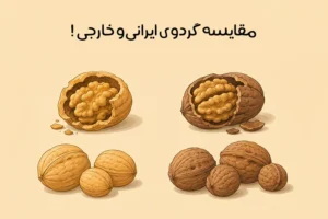 تفاوت گردوی ایرانی و خارجی: کدام بهتر است؟