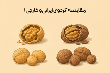 تفاوت گردوی ایرانی و خارجی: کدام بهتر است؟