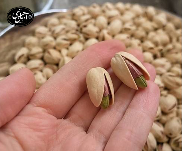 نگهداری پسته درشیشه