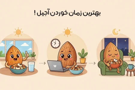 بهترین زمان خوردن آجیل: راهنمای مصرف آجیل برای سلامتی بیشتر