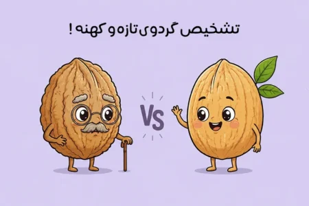 تشخیص گردوی تازه از کهنه: راهنمای خرید گردوی باکیفیت