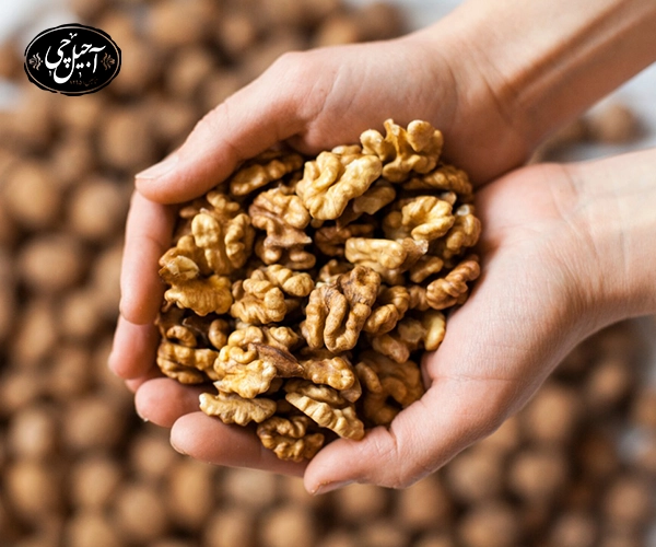 کدام آجیل برای کبد چرب مفید است؟
