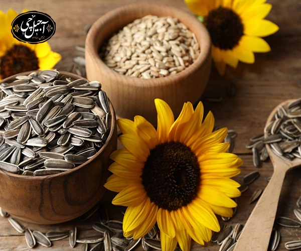 فواید تخمه آفتابگردان برای درمان کبد چرب