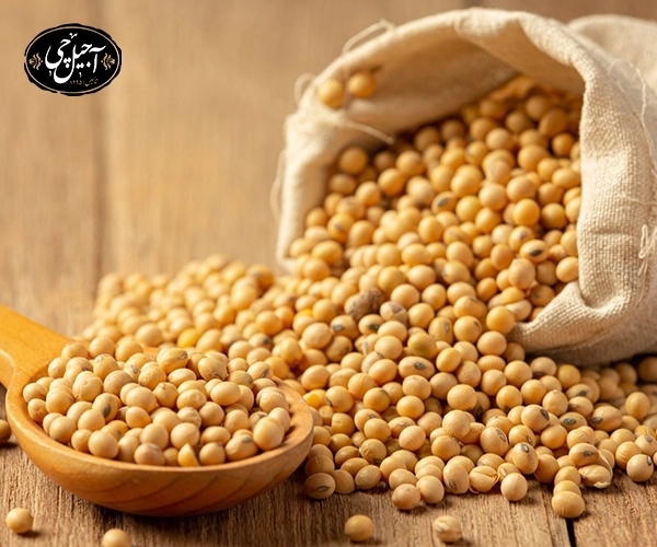 مزایا آجیل سویا برای کبد چرب