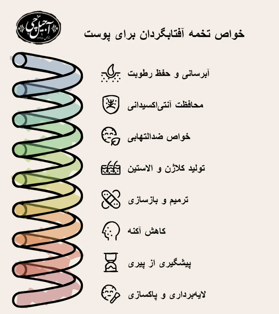 خواص تخمه آفتاب گردان برای پوست