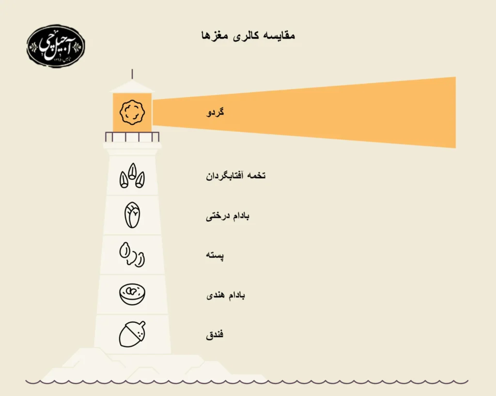 میزان کالری مغز ها