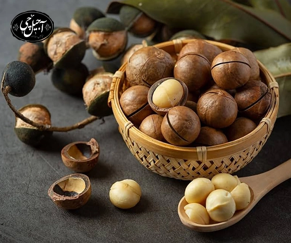 تاثیر ماکادمیا برای چاقی