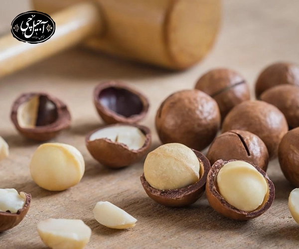 فندق برزیلی برای چاق شدن