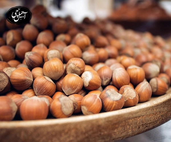 خواص فندق برای چاق شدن