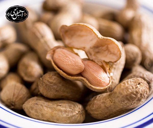 خواص بادام زمینی برای چاقی